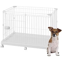 51CF9-+xiYL._AC_UL210_SR210,